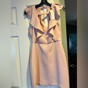 Brand new BCBG dress , new with tag size 2